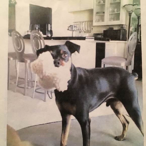 Meet your Posher, Steven - Picture 2 of 3